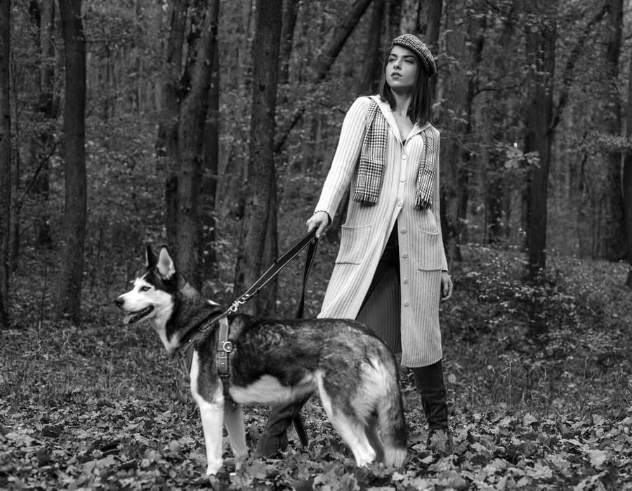 Pet sitter with a husky
