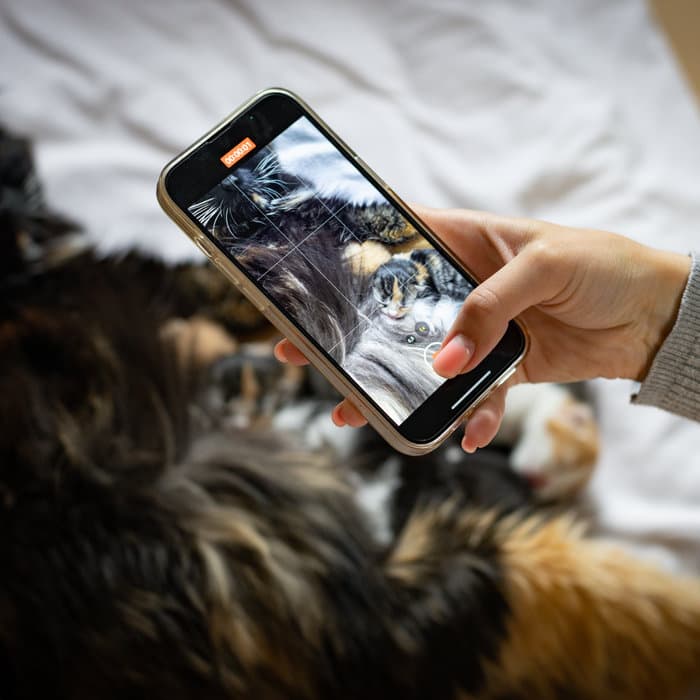 Photo update being taken on a phone