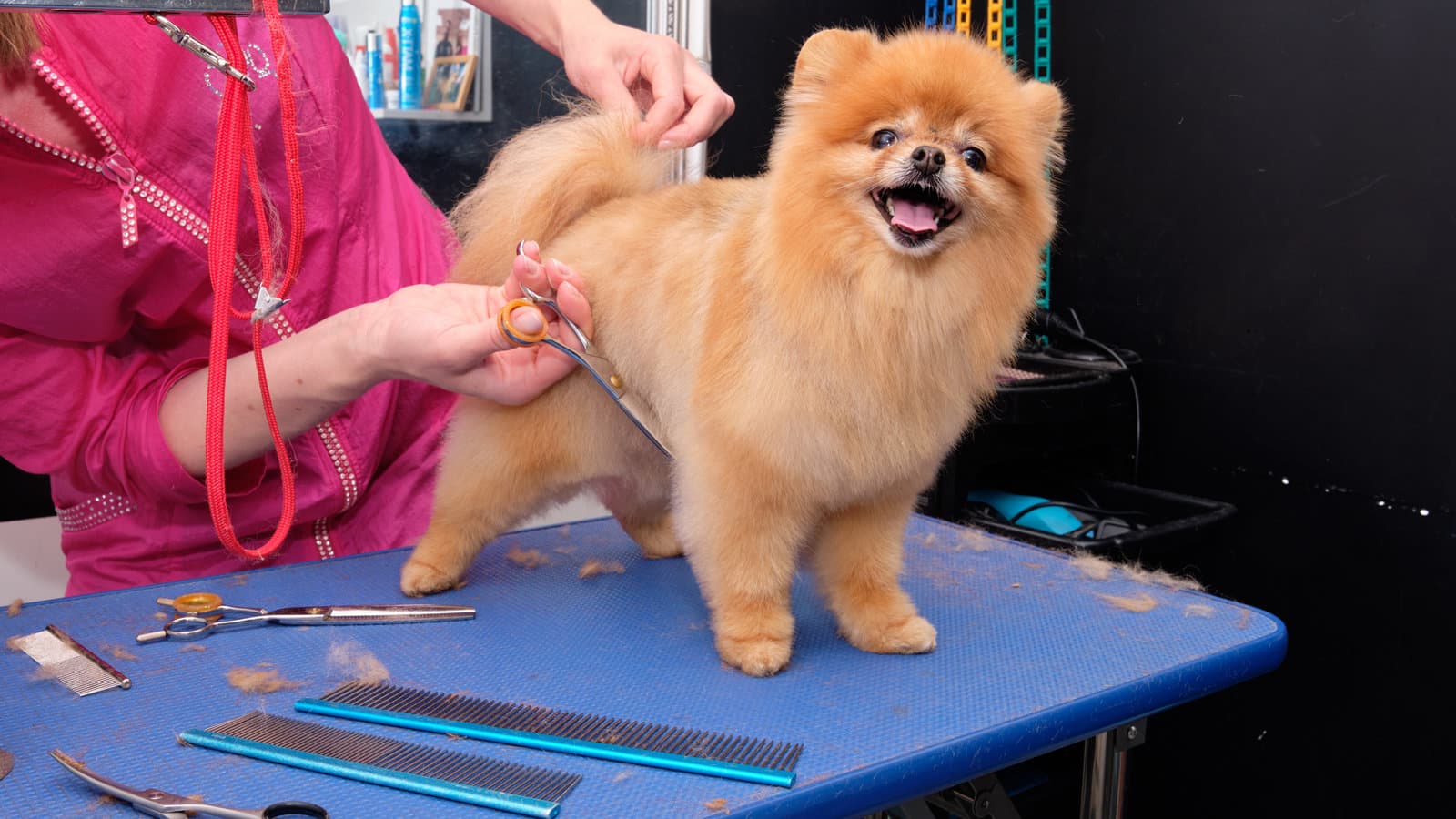 Grooming
