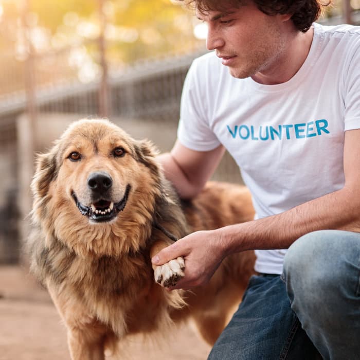 Volunteer working with a dog